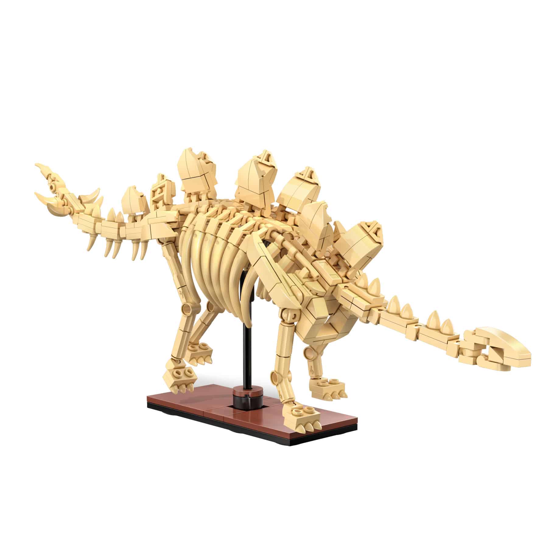 CaDA Dinosaur Fossils: Stegosaurus C59012W - Image 2
