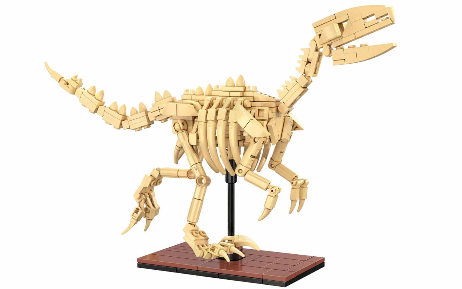 CaDA Dinosaur Fossils: Velociraptor C59014W - Image 2