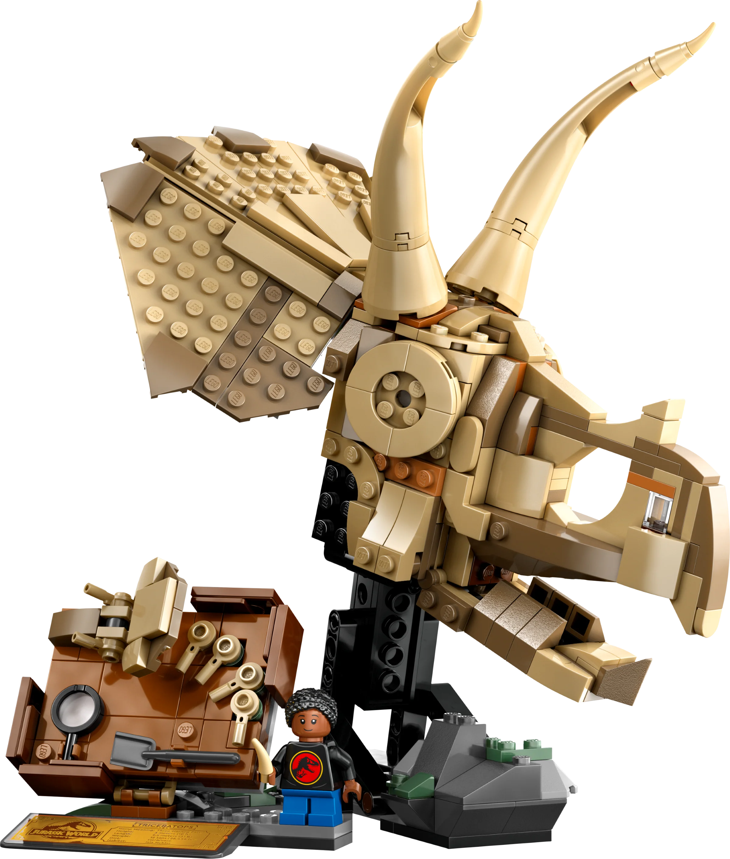Lego Jurassic World Dinosaur Fossils: Triceratops Skull 76969 - Image 3
