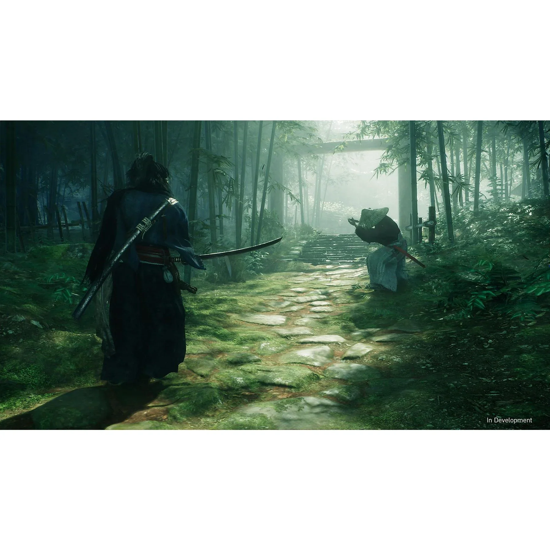PS5 Rise of the Ronin - Image 3