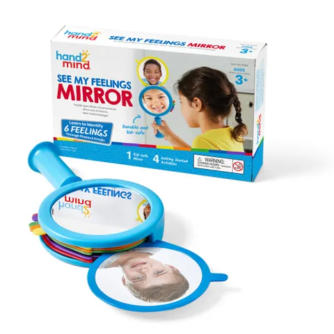 See My Feelings Mirror Single Mirror - Image 2