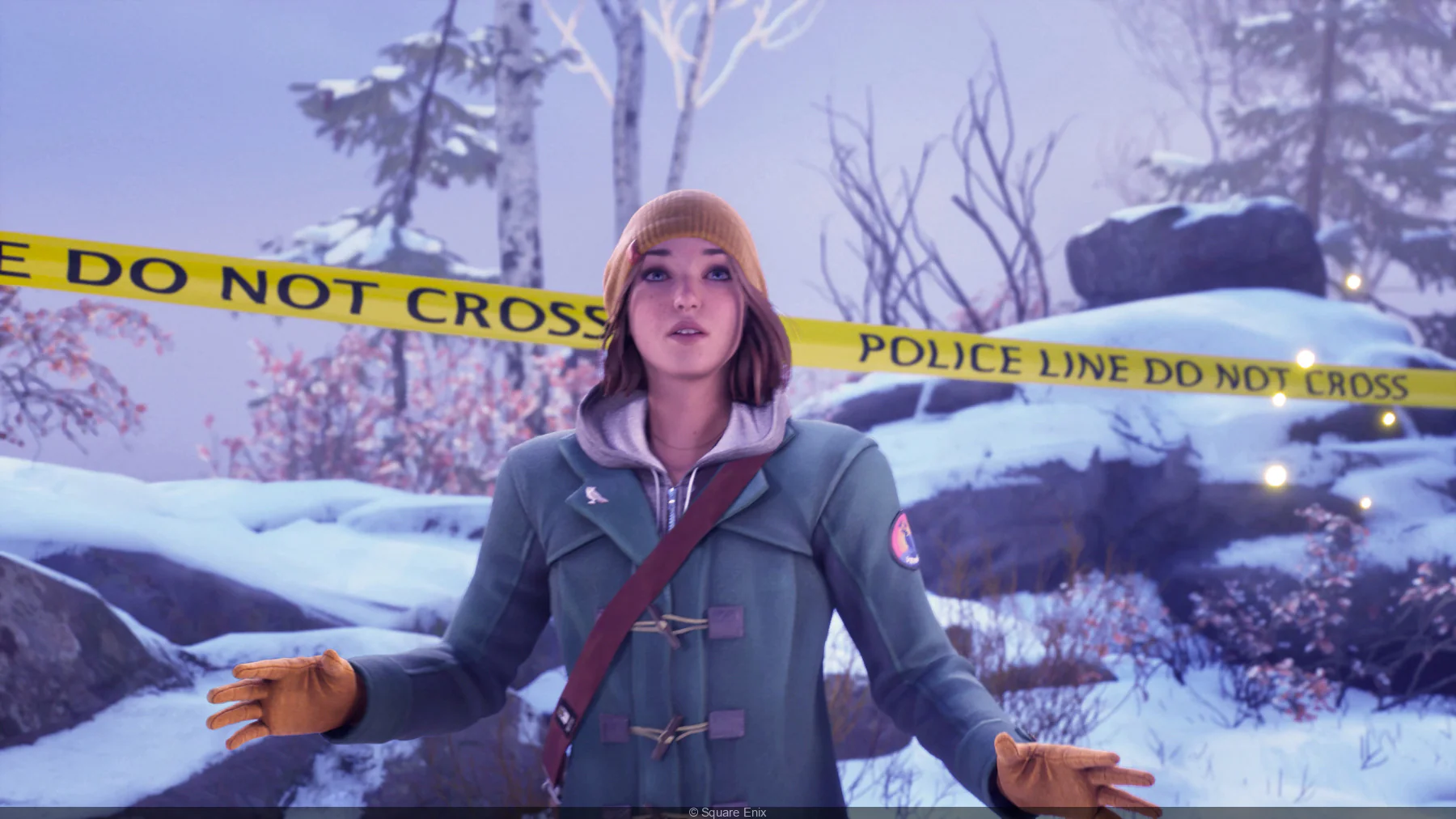Switch Life is Strange: Double Exposure - Image 5